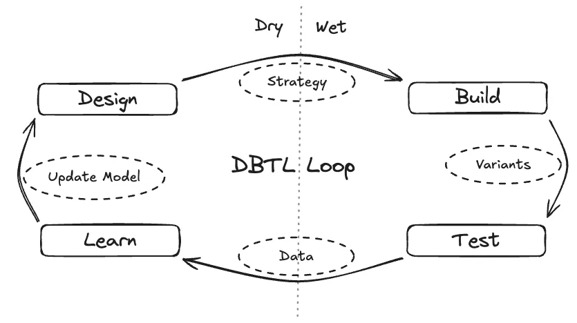 DBTL Loop